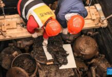 China unveils highest-level Chu state tomb excavated to date