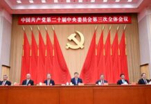 Reform resolution is most important outcome of latest CPC plenum: official