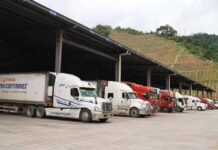 Fruit trade between China, ASEAN thrives