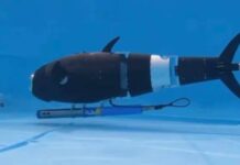 Robotic fish revolutionize aquaculture with AI precision