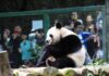 Nanjing’s Hongshan Forest Zoo reinvents itself as a model of modern zoological experience
