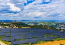 China releases white paper on low-carbon development